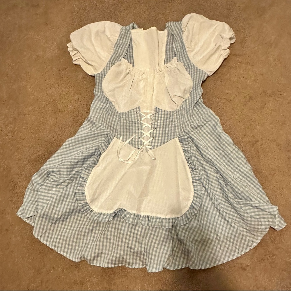 Dorothy Costume